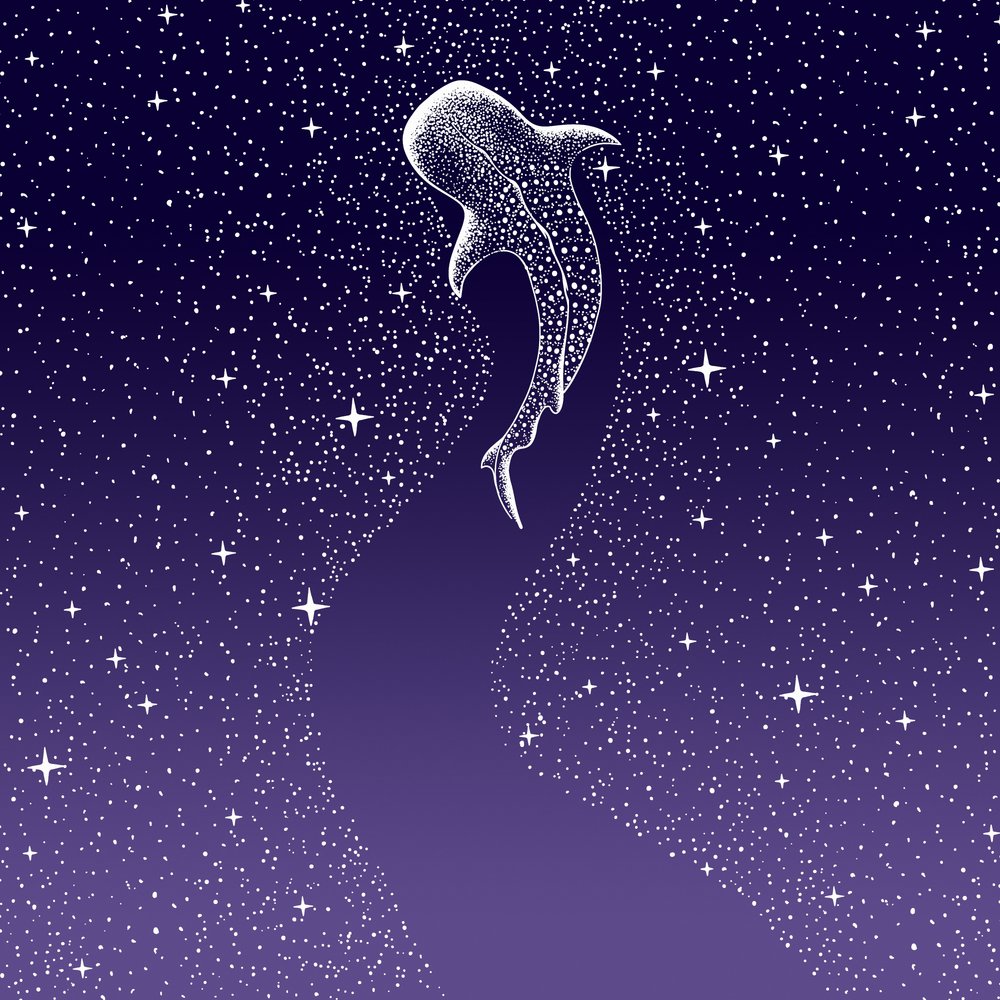 Star Eater Dark Blue To Purple Grad by Alirıza ÇAKIR