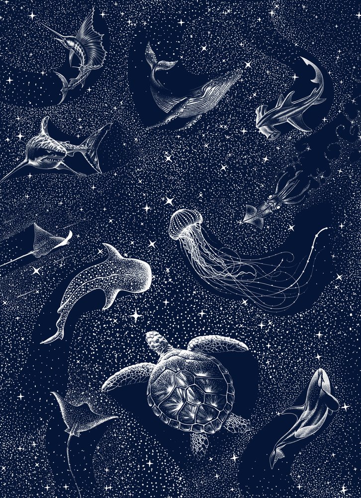 Starry Ocean Creatures by Alirıza ÇAKIR