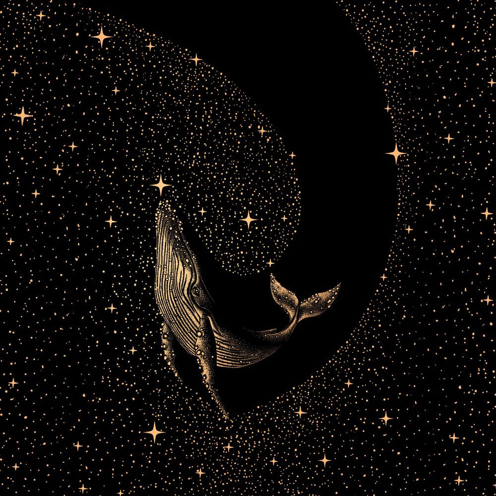 Whale Among Stars by Alirıza ÇAKIR