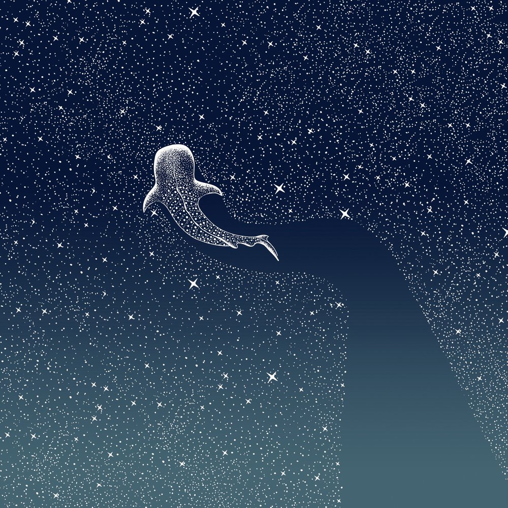 Whale Shark Galaxy by Alirıza ÇAKIR