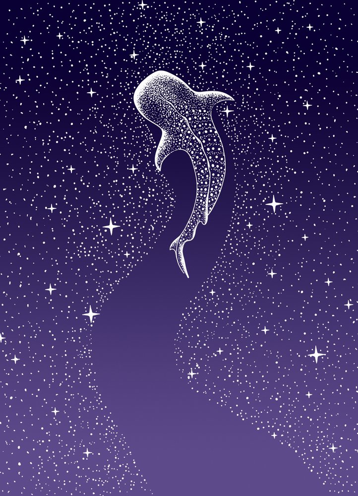 Whale Shark Galaxy Swim by Alirıza ÇAKIR