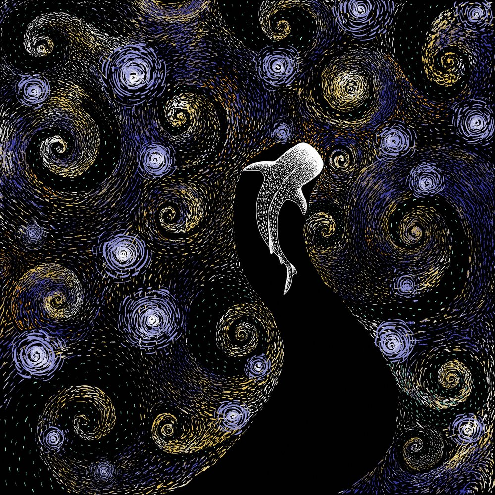 Whale Shark Starry Night by Alirıza ÇAKIR