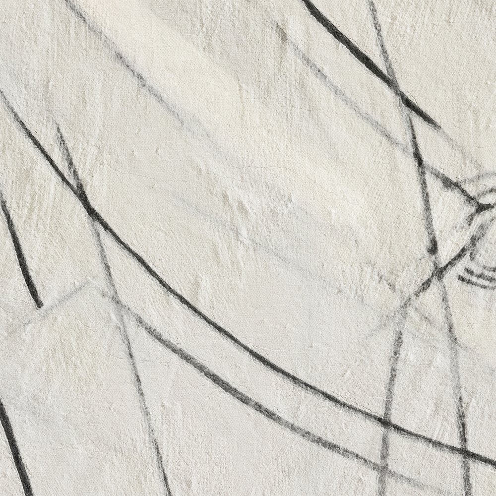 Abstract Black Lines by Alma