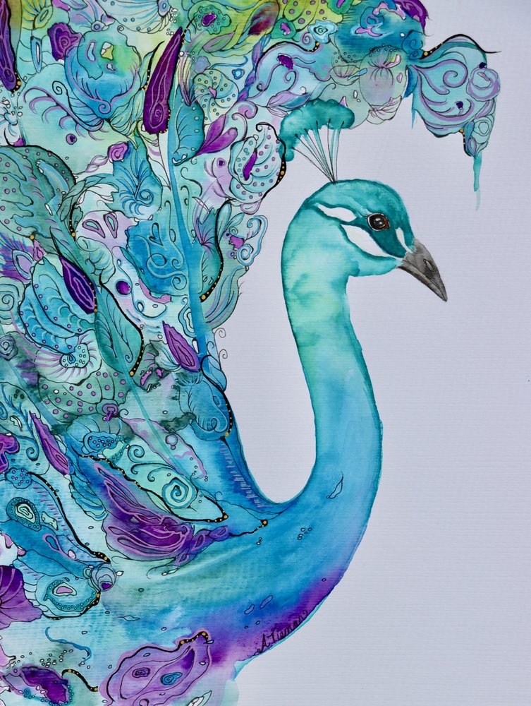 Elegant Watercolor Peacock by Amy Tieman