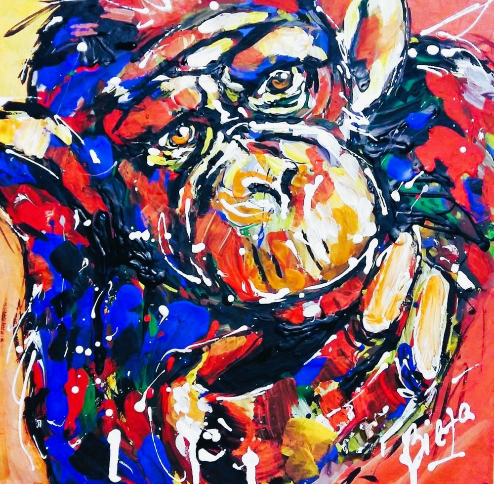 Colorful Dog Portrait by Anda Bieza