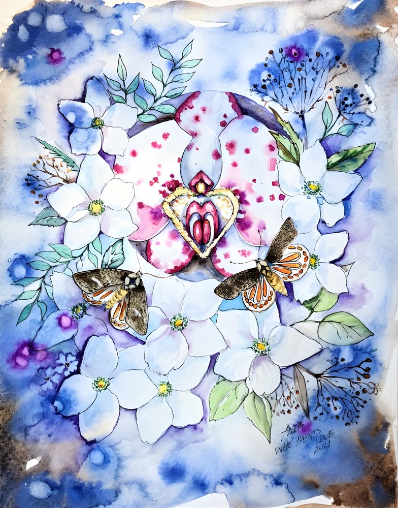 Dreamy Orchid Moths by Anda Bieza