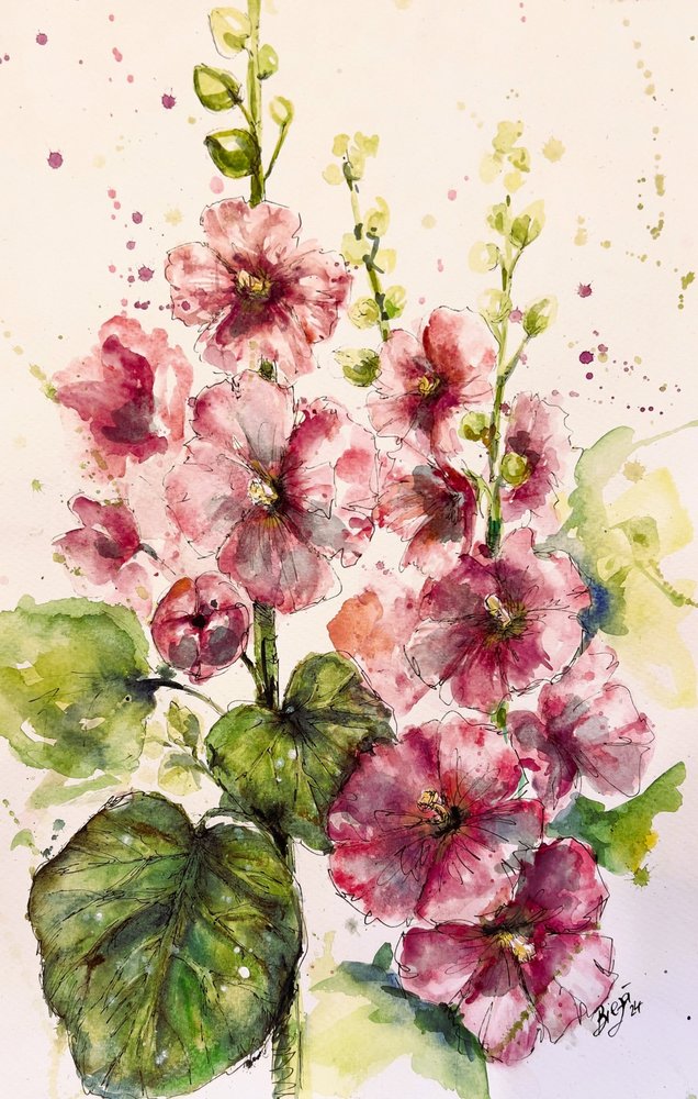 Vibrant Pink Hollyhocks by Anda Bieza