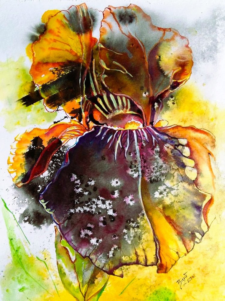 Vibrant Watercolor Iris by Anda Bieza