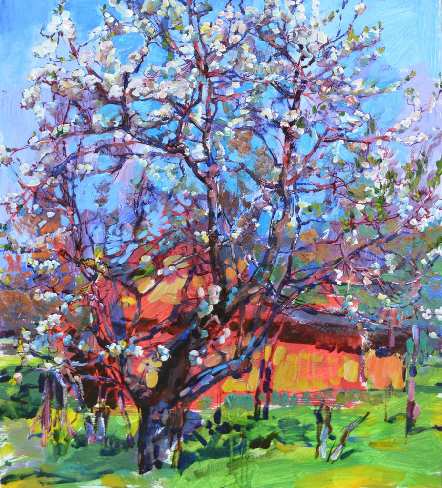 Spring Tree in Bloom by Andrii Kutsachenko