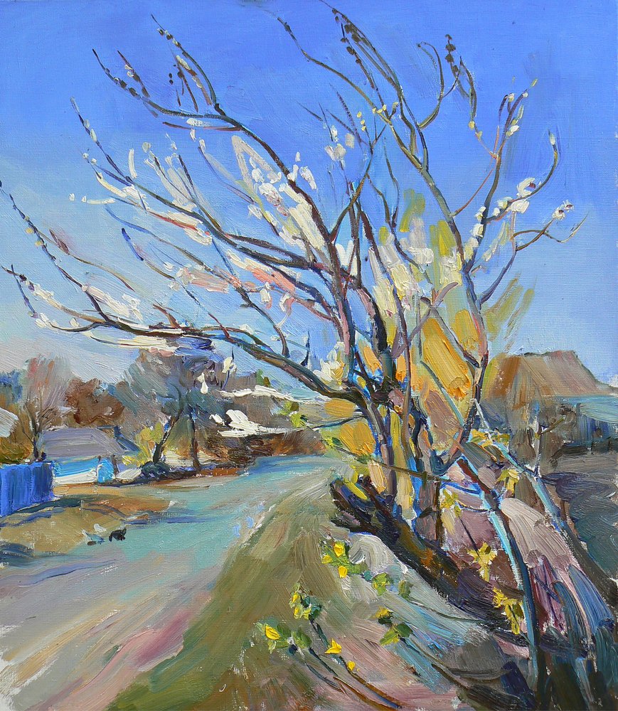 Sunny Spring Village Road by Andrii Kutsachenko