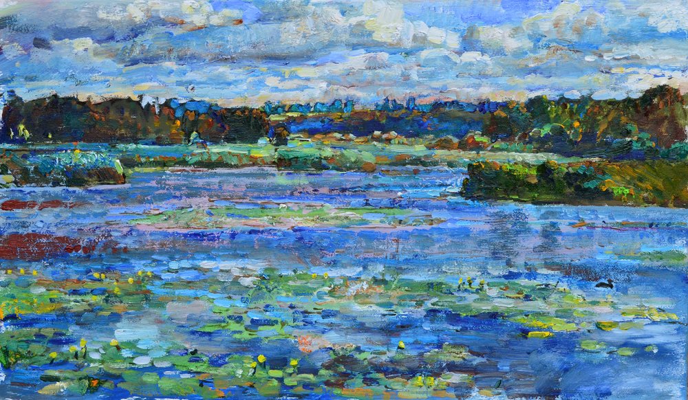 Tranquil Lake Lily Pads by Andrii Kutsachenko