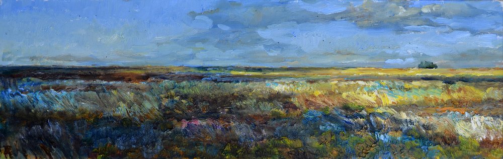 Vast Prairie Landscape by Andrii Kutsachenko