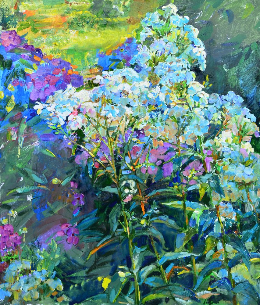 Vibrant Garden Phlox by Andrii Kutsachenko