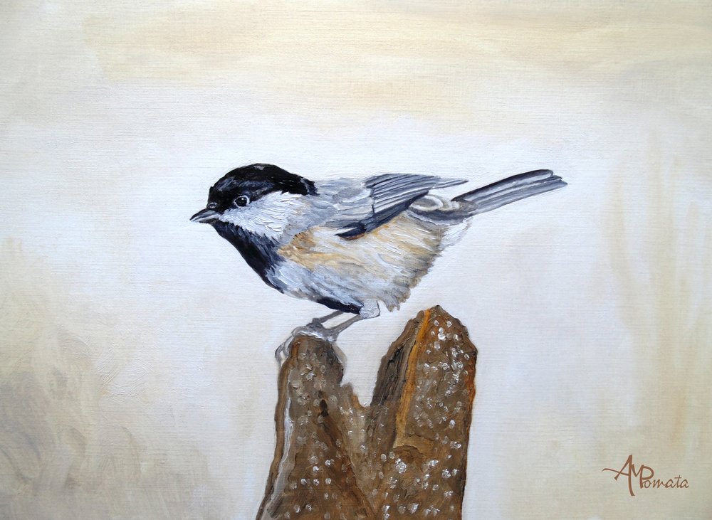Chickadee On Wood Stump by Angeles M. Pomata