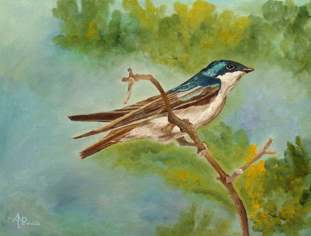 Colorful Perched Swallow by Angeles M. Pomata