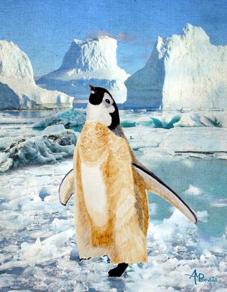 Curious Penguin Antarctic Ice by Angeles M. Pomata