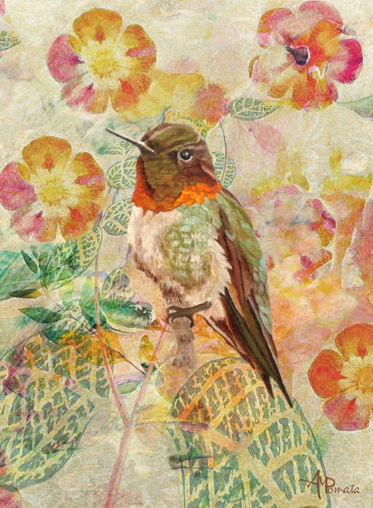 Hummingbird and Blossoms by Angeles M. Pomata