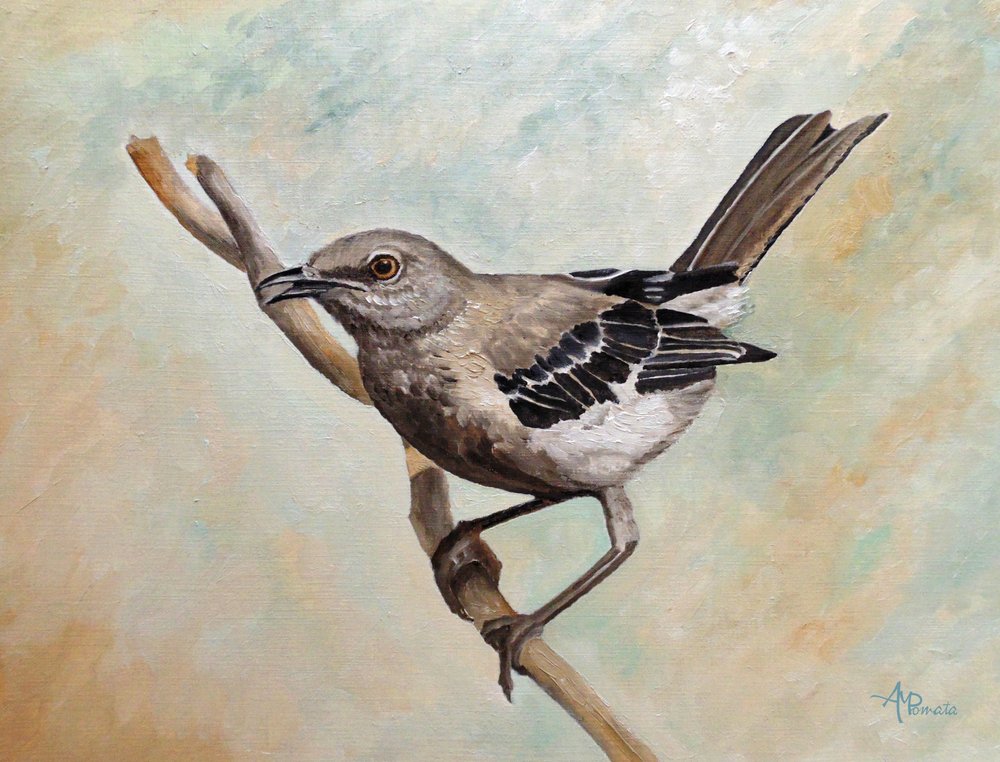 Mockingbird On Branch by Angeles M. Pomata