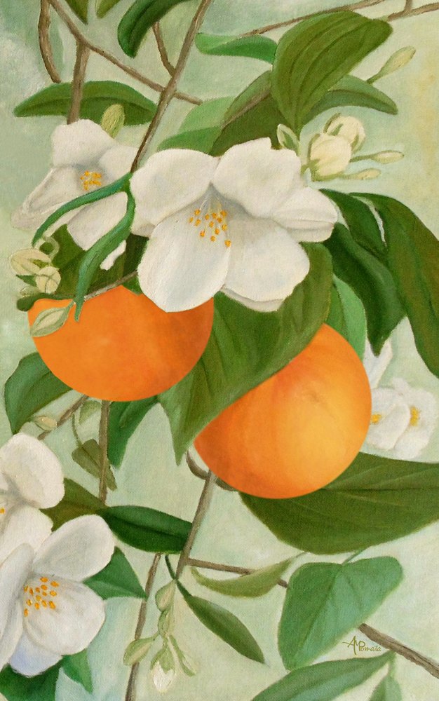 Orange Blossom Branch by Angeles M. Pomata