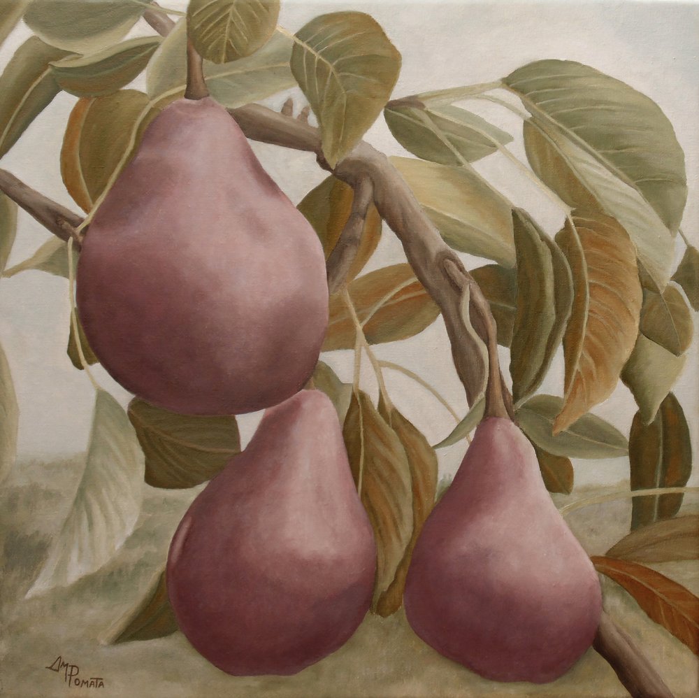 Purple Pears on Branch by Angeles M. Pomata