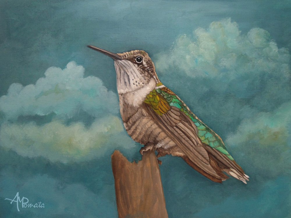 Skyward Hummingbird by Angeles M. Pomata