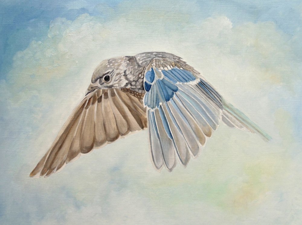 Soaring Blue Bird by Angeles M. Pomata