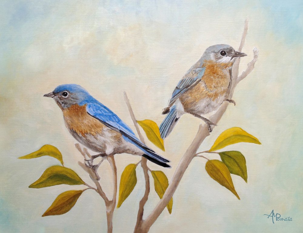 Two Bluebirds Perched by Angeles M. Pomata