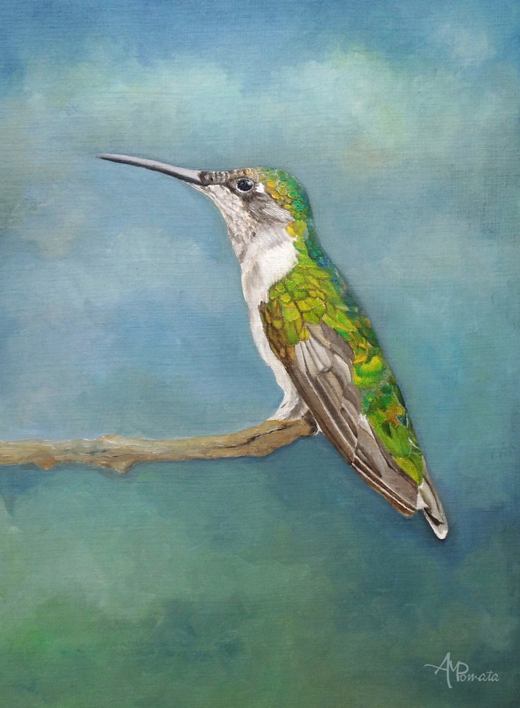 Vibrant Hummingbird Perch by Angeles M. Pomata
