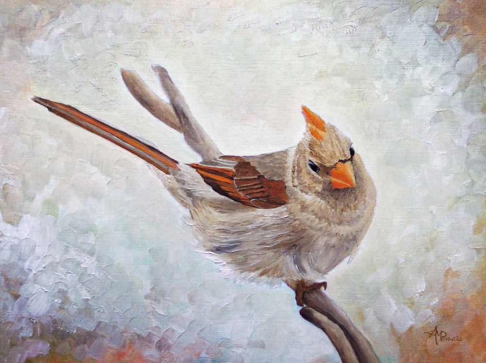 Watchful Female Cardinal by Angeles M. Pomata