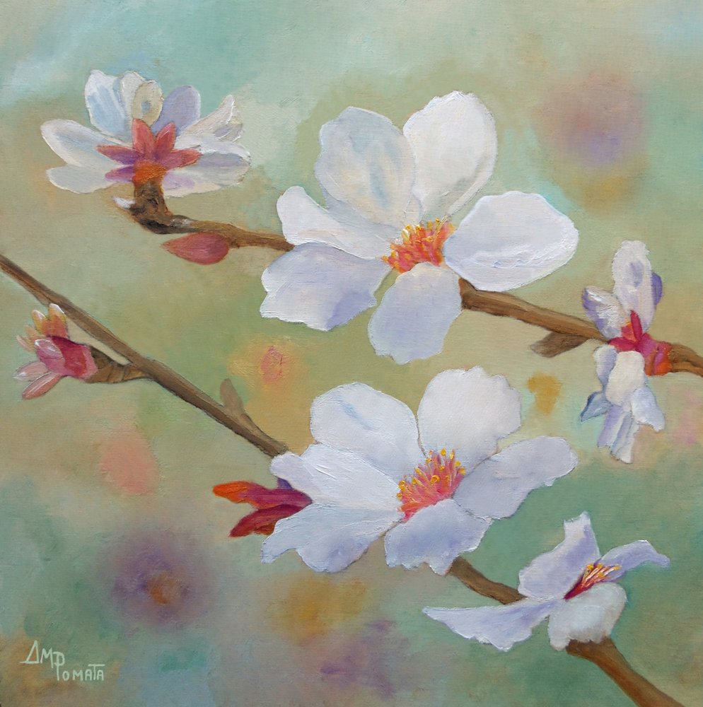 White Almond Blossoms by Angeles M. Pomata