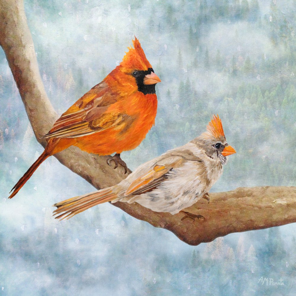 Winter Cardinal Pair by Angeles M. Pomata