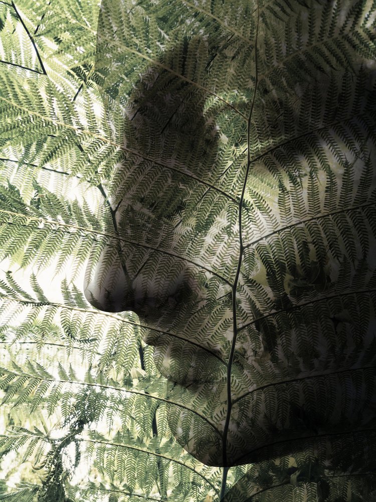 Botanical Face Profile by Angelo Cerantola
