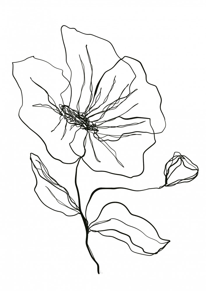 Delicate Flower Sketch by Ankie Kooi