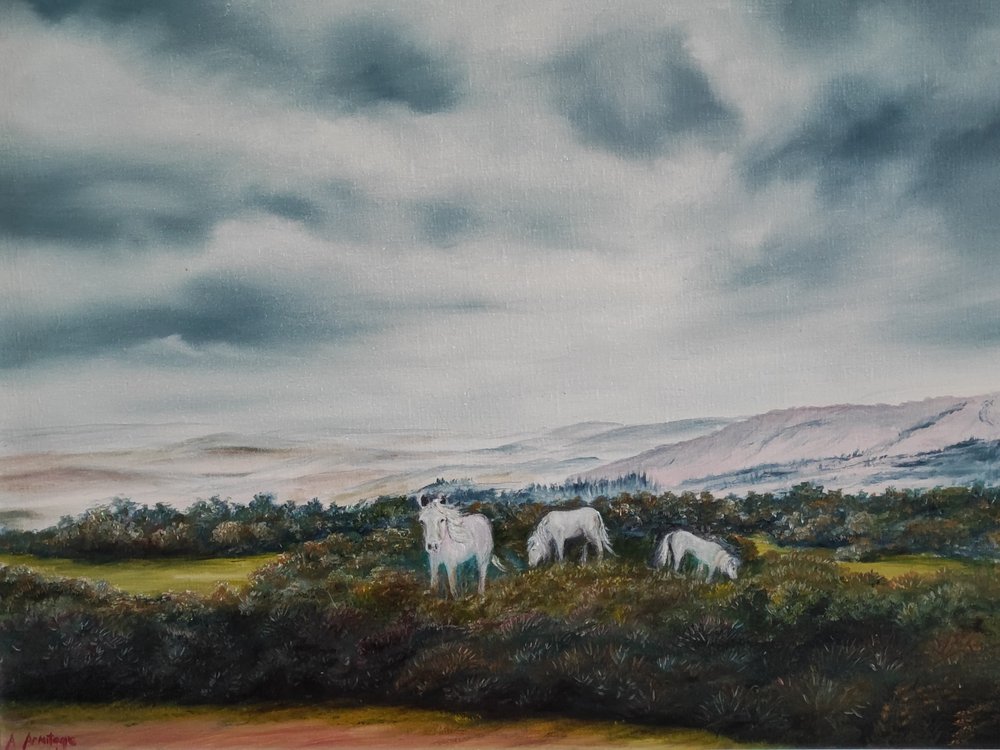 Serene Moorland Ponies by Annette Armitage