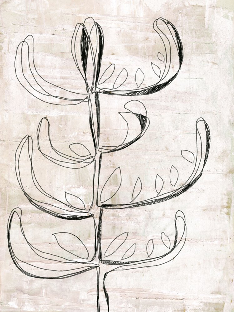 Organic Botanical Sketch by Annick