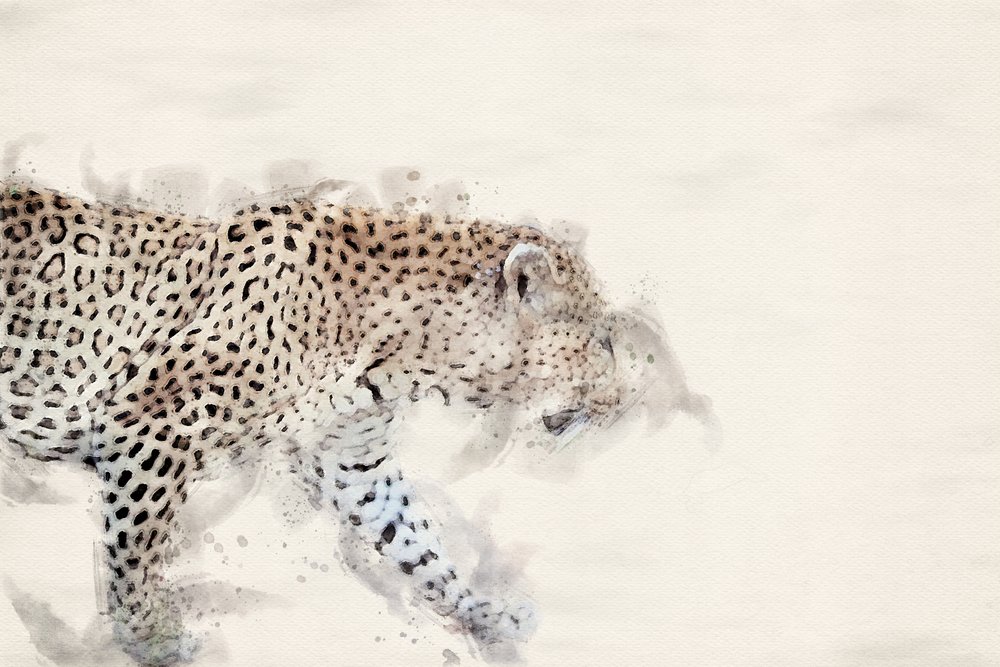 Graceful Watercolor Leopard by Arno Du Toit
