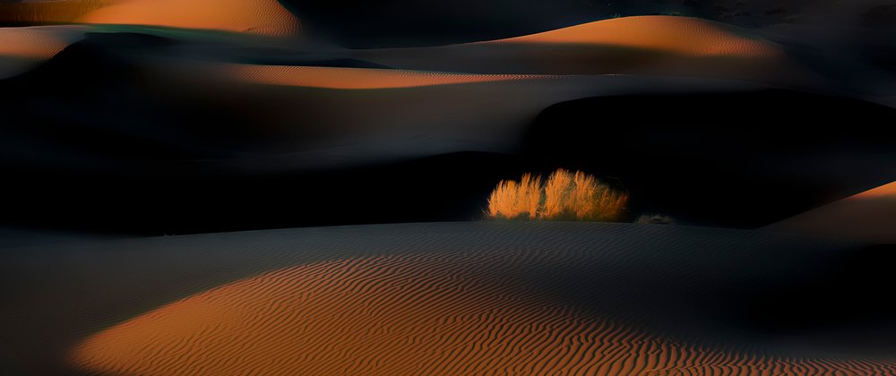 Golden Hour Desert Dunes by Asef Azimaie