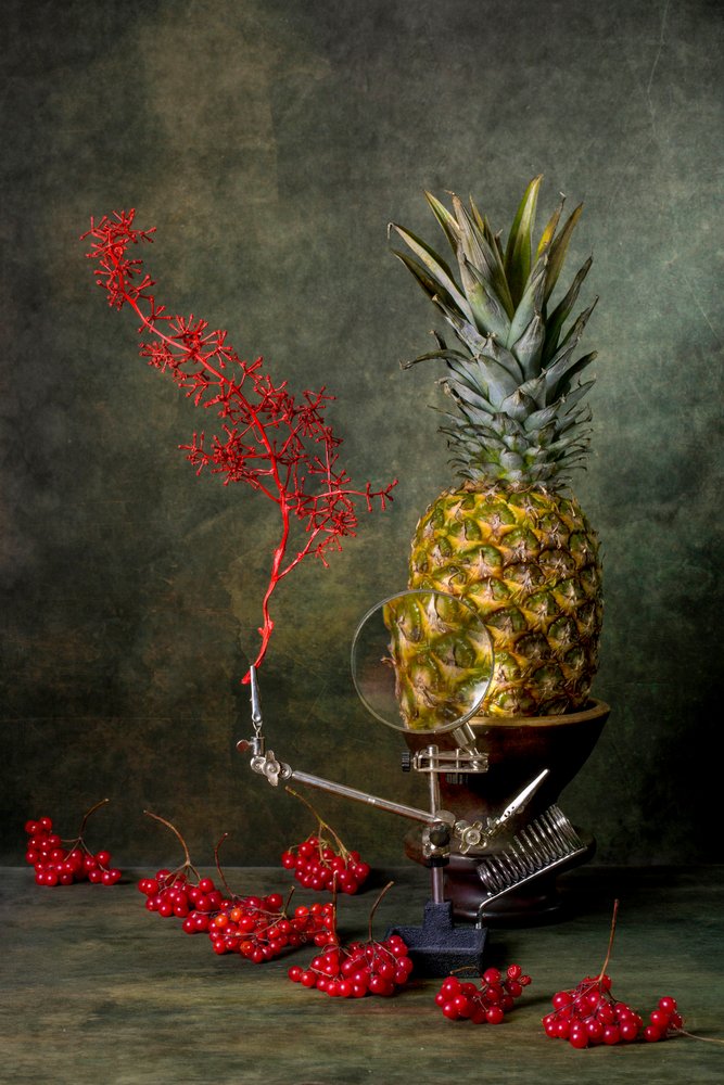 Magnified Pineapple Still Life by Brig Barkow