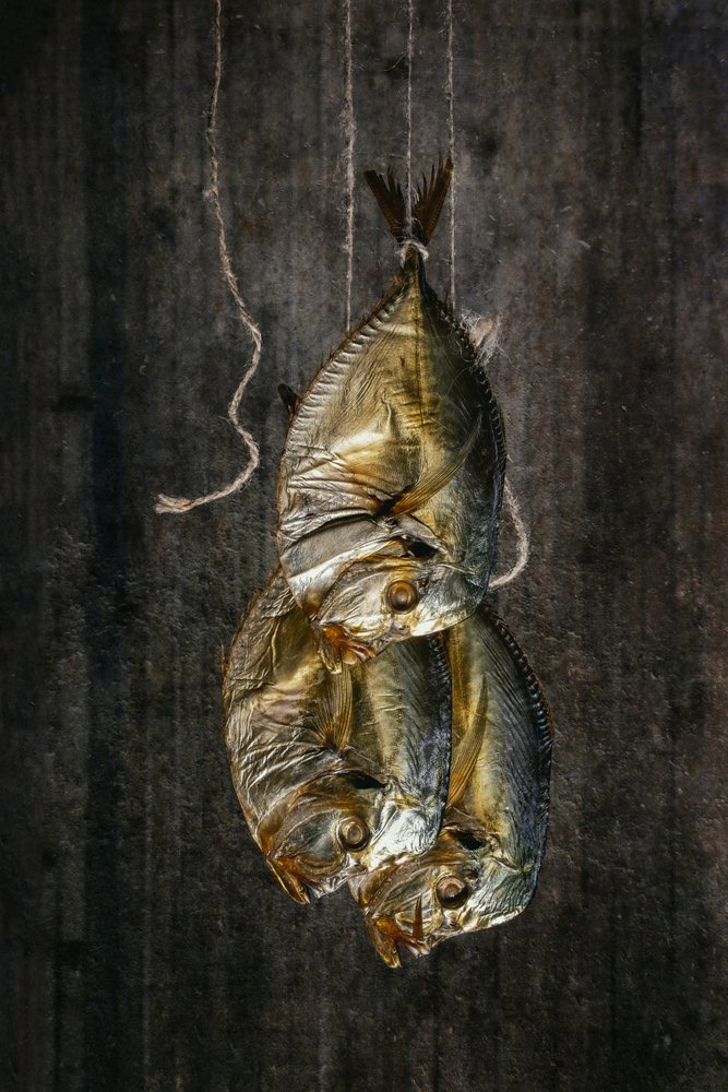 Rustic Smoked Fish by Brig Barkow