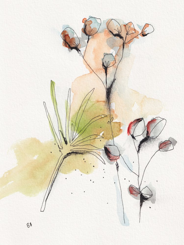 Modern Botanical Study by Bronwyn Baker