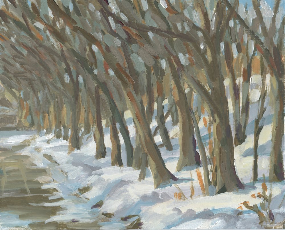 Snowy Riverbank Trees by Carrie Arnold