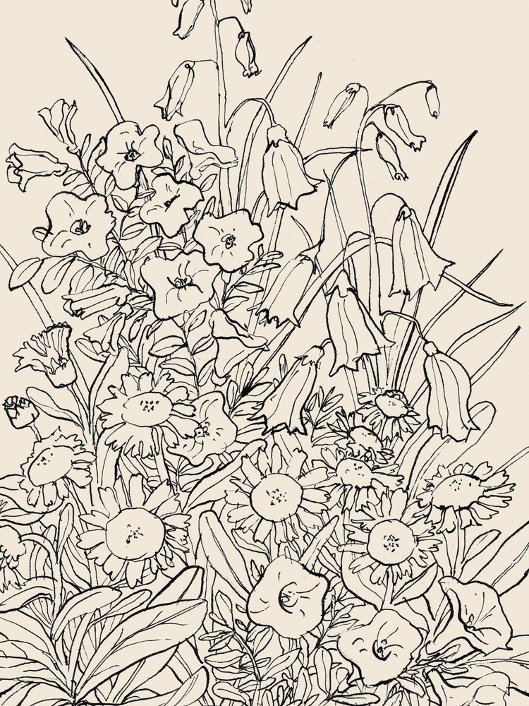 Wild Garden Flowers by Catalina Somolinos