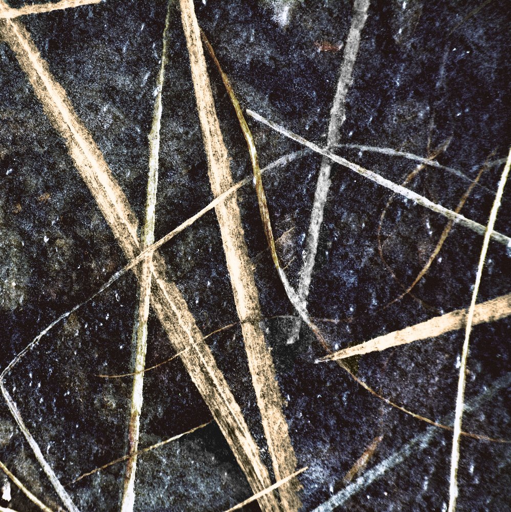 Abstract Frozen Grass by Christina Sillen