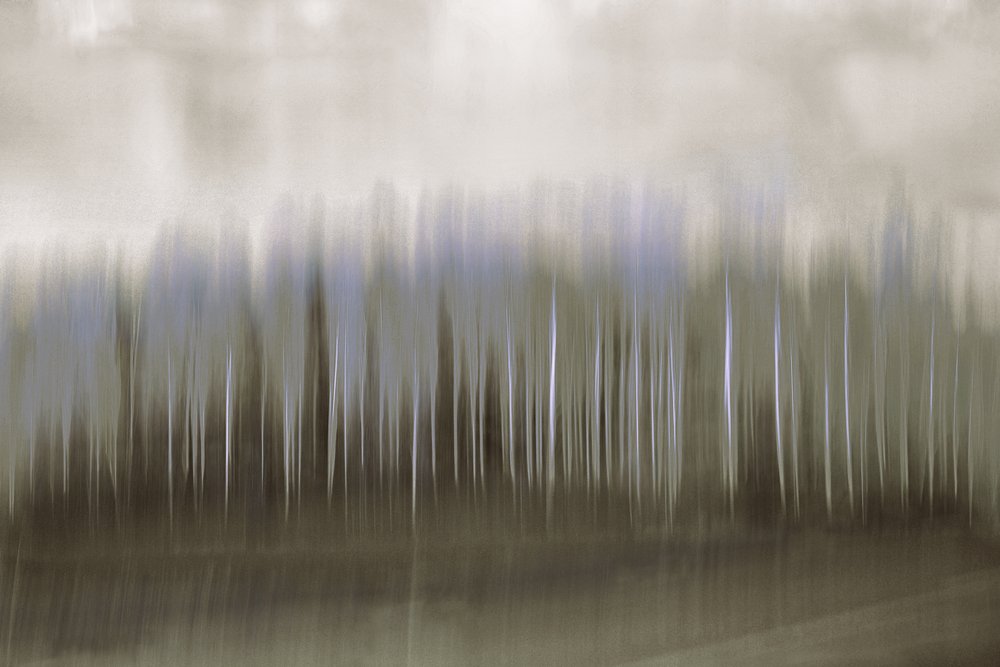 Blurred Forest Reflection by Christina Sillen