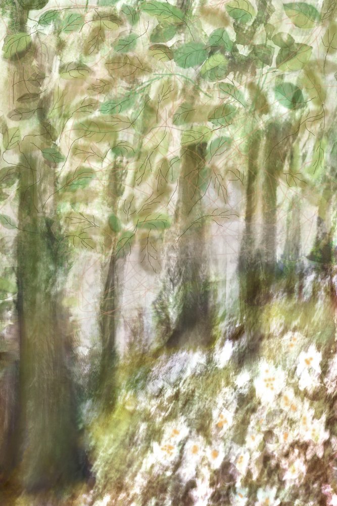 Dreamy Forest Flowers by Christina Sillen