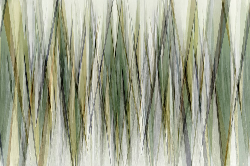 Earthy Geometric Lines by Christina Sillen