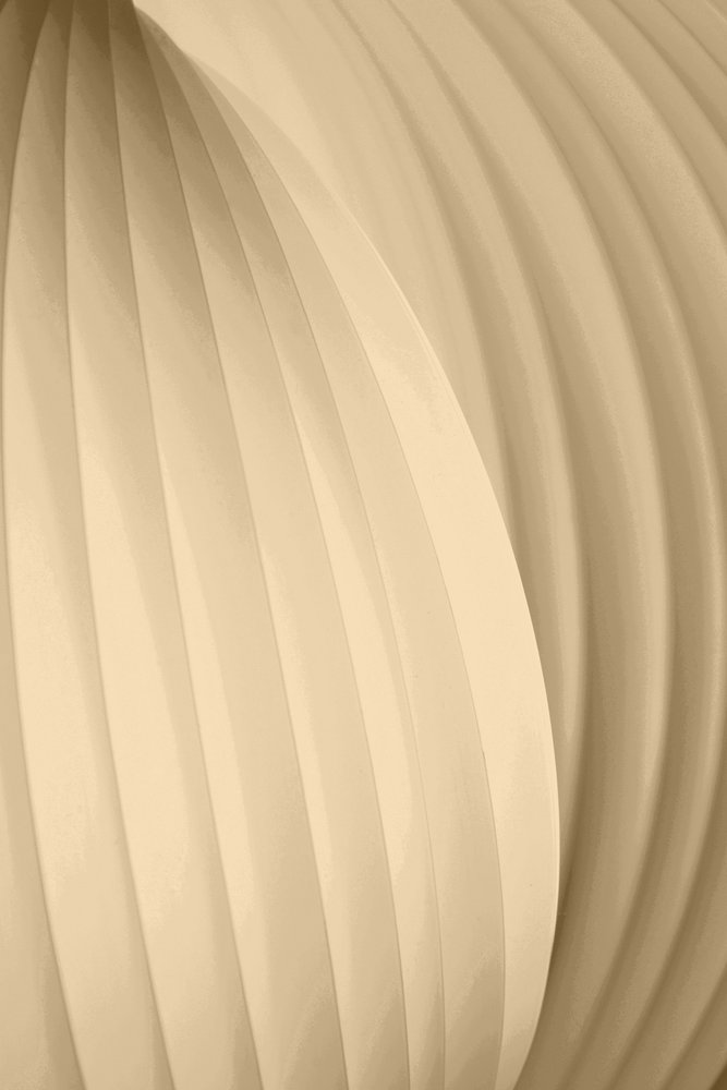 Flowing Cream Curves by Christina Sillen