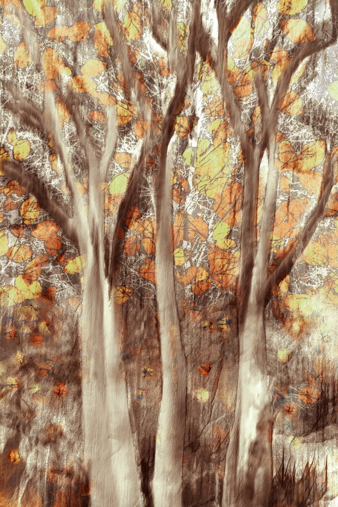 Golden Autumn Forest by Christina Sillen