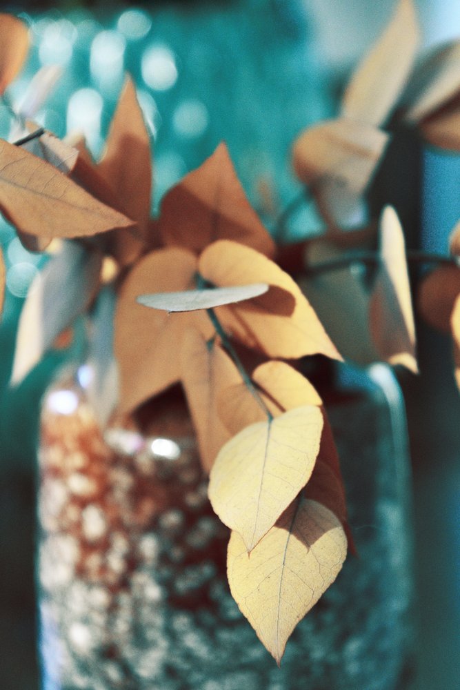 Golden Autumn Leaves by Christina Sillen