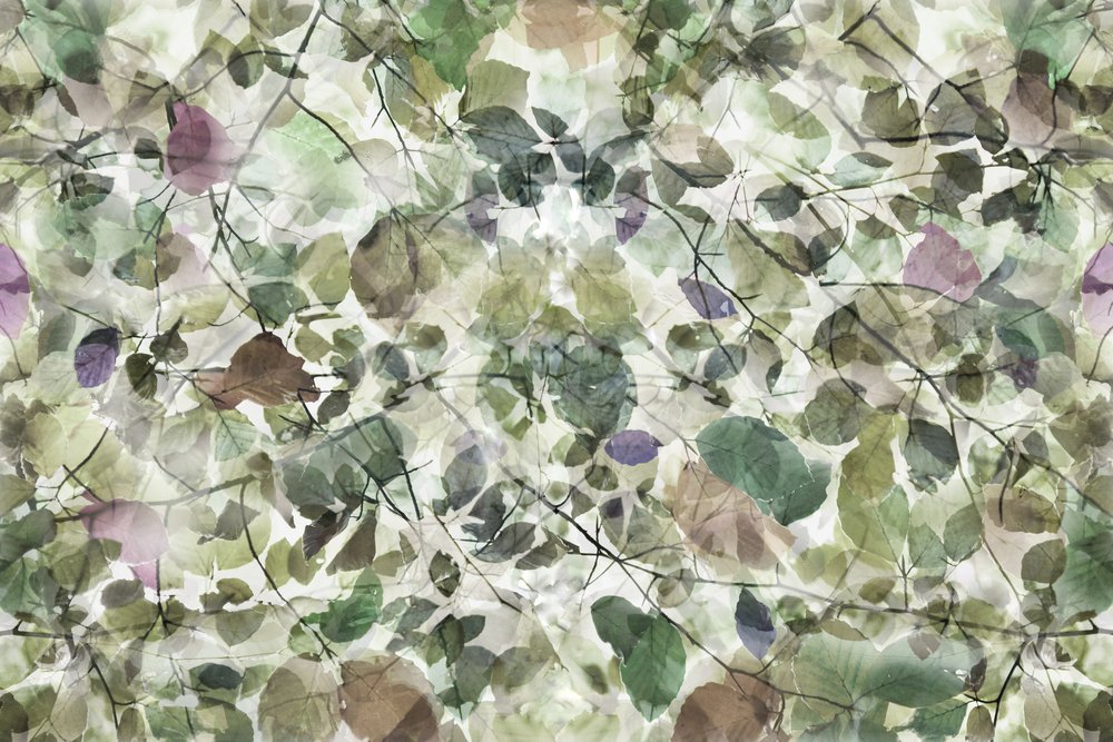 Green Leaf Layers by Christina Sillen
